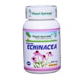 Planet Ayurveda-Indian Echinacea